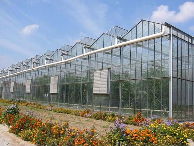 連棟溫室大棚造價(jià)多少錢(qián)一平方 連棟溫室大棚造價(jià)多少錢(qián)一平方